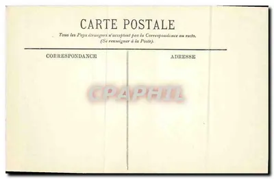 Chambord — Zamek widziany przez drzewa — LL. — Rewers
