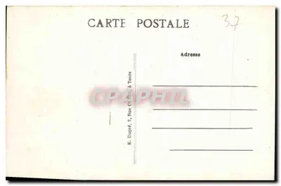 Amboise (Loire-et-Loire) — Zamek (strona wschodnia) i Loara — A.P. — Rewers
