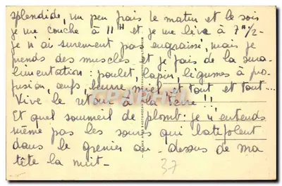 Azay-le-Rideau - Zamek Narodowy (mon' hist.), XVI wiek - Muzeum Renesansu - Façada Południowa — Rewers