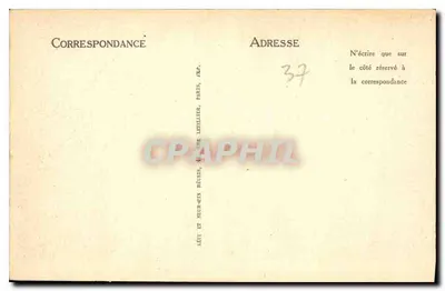 Loches — Pałac Królewski — Miodowy drzewo posadzone przez Franciszka I — Rewers