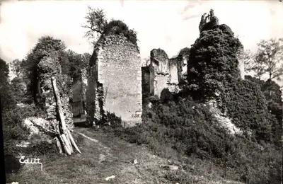 Ruiny zamku Vaujours — Souvigne — Éditions L & L