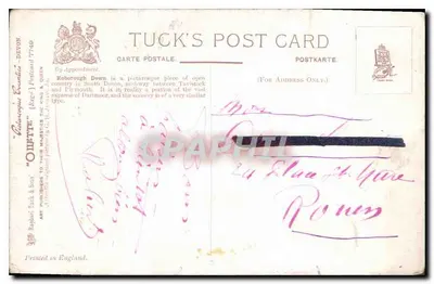Roborough Down — Devon — Tuck's Post Card nr 7749 — Rewers