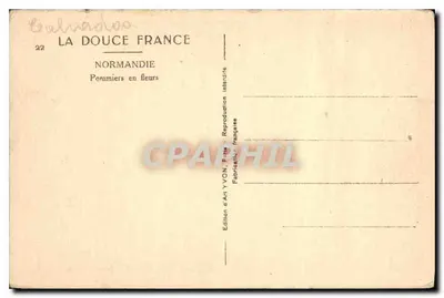 Pommiers em flores — Normandia — Edição de Arte YVON, França — Verso