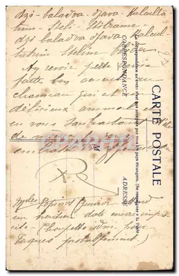 Dijon — Ogród Arquebuse. Czarny klon. — Wydawnictwo Ménard, nr 58 — Rewers