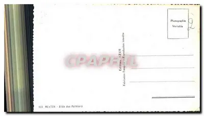Menton - Aleja Palmy — Wydawnictwo ZUR — Rewers