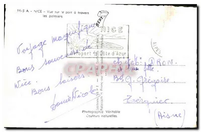 Nice — Widok na port przez palmiery — Wydawnictwo S.E.P.I. — n° 16-5 A — Rewers