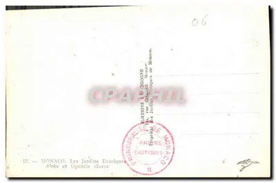Mônaco — Jardins Exóticos — Aloe e Opuntia diversos — Verso