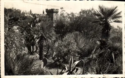 Jardim exótico com castelo — As Edições de Cuniez — n° 15