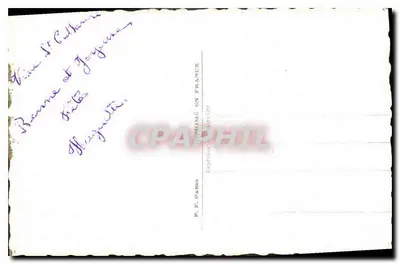 एक जोड़ा रोज़ के बासक में — P.F. PASSO नंबर 776 — पीछे