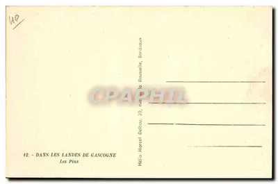 Les Pins – W Landes Gascogny – Hélios Marcel Delboy, 39, rue de la Rousseaux, Bordeaux — Rewers