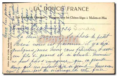 Las dębowy Chênes-lièges — Landes de Gascogne — Wydawnictwo Sztuki YVON — Rewers