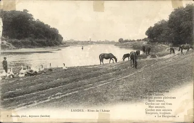Bilhete postal antigo Landes Rives de l'Adour