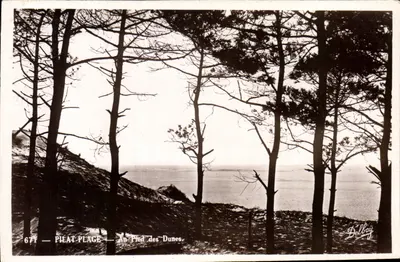 Pheat-Place — An Pied des Dunes — Delboy