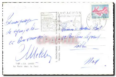 Rodovia na Floresta — Arcachon — Editor L. Chatagneau, n° 1427 — Verso
