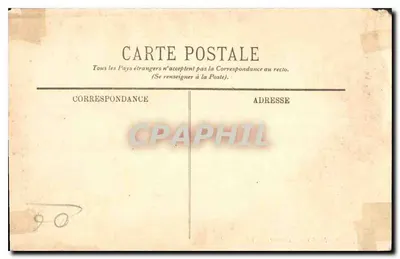 CANNES — Port — LL. — n° 559 — Rewers