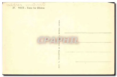 Nice - Między oliwkami — widok panoramiczny z drzewa — Gilletta — Rewers