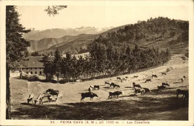 Peira-Cava (A.M.), wys. 1500 m. — Les Casernes