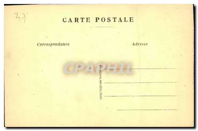 Langeais (Indre-et-Loire) — Het Kasteel — Westelijke Gevel — A.P. — Achterkant