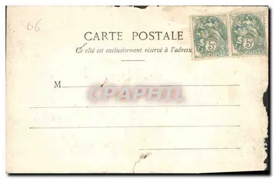 NICE — Entre les Oliviers — Édition Giletta, phot. Nice, n°17 — Rückseite