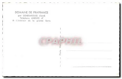 Wnętrze dużej szklarni — Domena Prafrance — przez Générargues (Gard) — Rewers