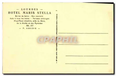 Lourdes - A Basílica e o Gave, vista tirada do Hotel Maris Stella — Verso