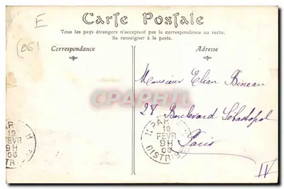 NICE — Palmiery w Ogrodzie Publicznym — Wydawca nieznany, nr 333 — Rewers