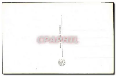 Jong koppel in liefde — decoratie van margrieten — uitgever Kar Noïcer, n° 3019 — Achterkant