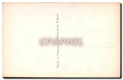 Ritratto femminile — rosa — editore I.P.S. n° 6337 — Verso