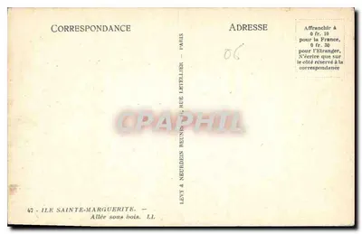 Aleja w lesie — Wyspa Świętej Margarety — Levy & Neurdein Reunis — Rewers
