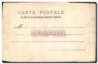 Dos chicos en un camino forestal — editor no visible — Reverso