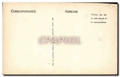 Katedra w Chartres — Panny z Pila — ND — Rewers
