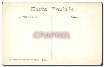 Katedra w Chartres — Fragmenty kolumn portalu zachodniego — ND. Fot. — Rewers