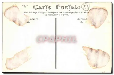 Katedra w Chartres — Wieża północna, Podpora kątowa południowo-zachodnia — ND Fot, nr 610 — Rewers