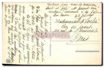 Ogród kwitnący w Nicei — Półwysip Azorski — wydawca A.D.I. n°427 — Rewers