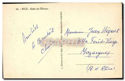 Nice - Między oliwkami — L. Gilletta et Cie, Wyd. Nice, nr 43 — Rewers
