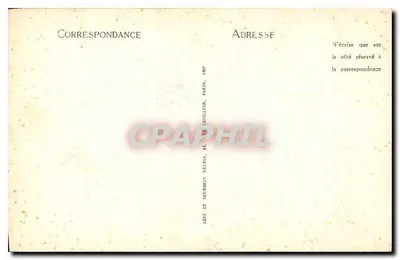 Cabeça de Mulher Jovem — Museu Condé, Chantilly — Escola de Luini (28) — Verso