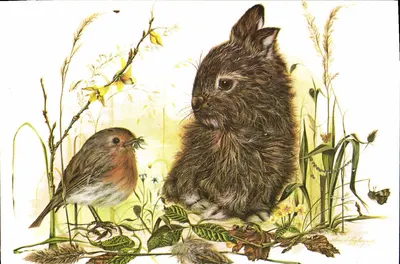 Pássaro vermelho e coelho — ilustração animal — Anne Appleyard, S463