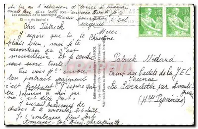 Vaca com chifres — Mont Blanc — Jansol — Verso