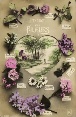 Linguagem das Flores — Carta decorativa com flores e símbolos — editor K, n° 362