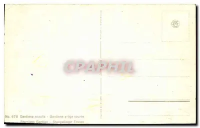 Gentiana con tallo corto — Suiza — Impresa en Suiza, n.º 678 — Reverso