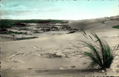 Dunas de Landes — vista panorâmica — Éditions Van Lek-Rouleau