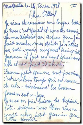 Montpellier — Widok ogólny — ND.124 — Rewers