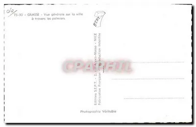 Grasse — Ogólny widok miasta przez palmiery — Wydawnictwo S.E.P.T. - 2, ulica Alexis-Massa - NICE — Rewers