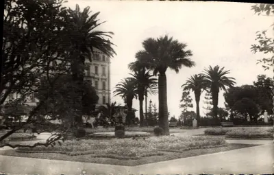 Ogród Garibaldiego w Nicei — widok na palmy i budynki — wydawca Malo, numer seryjny nie widoczny