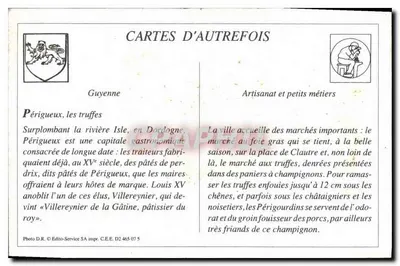 Périgueux — Dwa Périgords szukający grzybów truflowych — Nowe Galerie, Périgueux — Rewers