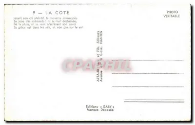 La Côte — Onde e gabbiani — Artaud Frères & Fils, Nantes — Verso