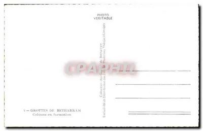 Jaskinie Betharram — Kolumna w formowaniu — Théojac — Rewers