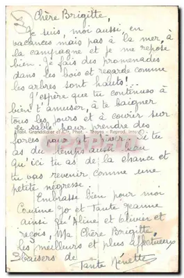 Les Riceys (Aube) — Aleja Platano w Zameku Ricey-Bas — Rewers