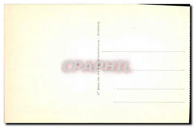 CANNES - Mont Chevalier widziany przez sosny Croix des Gardes — Wydawca CPAPHIL — Rewers