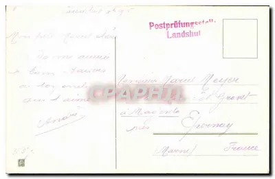 Galhos de pinheiro e mimosa — votos de felicidade e saudações para o novo ano — editor não visível — Verso